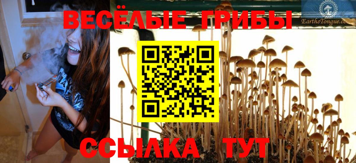 как найти наркотики  Псилоцибиновые грибы прущие грибы  Вход с VPN  Глазов 