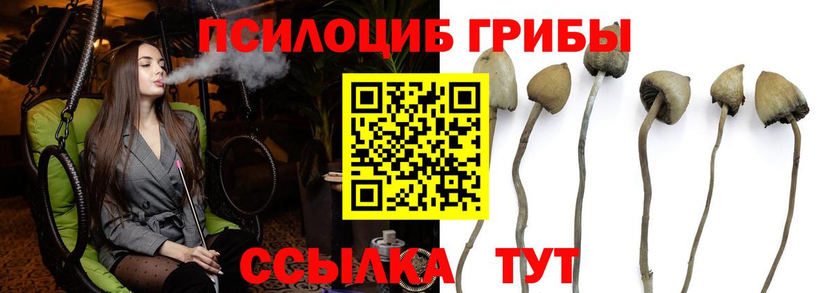 Псилоцибиновые грибы GOLDEN TEACHER Глазов